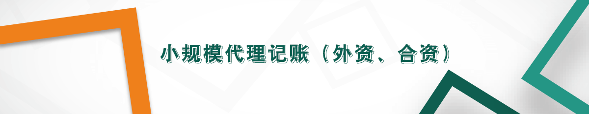 小規(guī)模代理記賬（外資、合資）